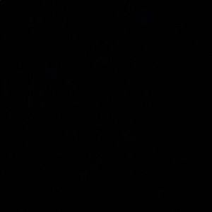 Meet your Posher, Jake